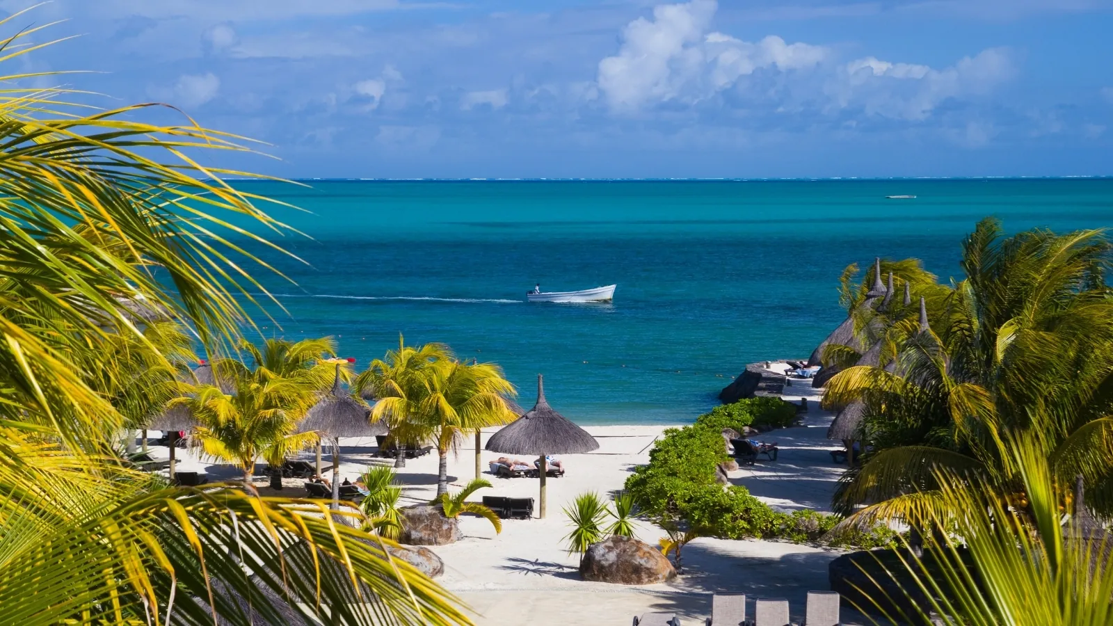 Study in Mauritius